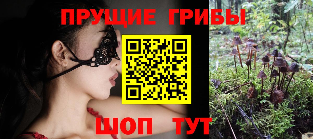 Галлюциногенные грибы мицелий  Псилоцибиновые грибы Psilocybe  Кизляр  Вход с VPN 